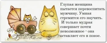 pBd3Y09SeOQ.webp