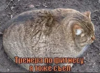 IMG_0851.webp