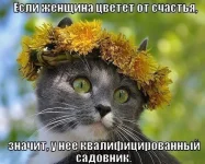 5BPLDPtj3f8.webp