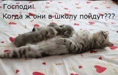 TykHNjV0gts.webp
