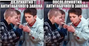 1954458.webp