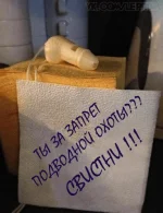 000000000000000.webp