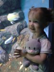 2013-05-27 13.04.57.jpg