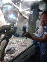 2013-05-27 13.27.21.webp