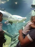 2013-05-27 14.27.43.webp
