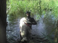 2013-05-26_18-27-29_277.webp