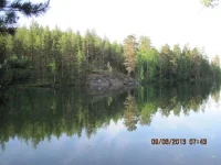 IMG_2417.webp