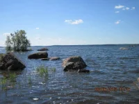 IMG_2409.webp