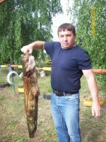 100_3219.webp