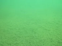 3 метра.webp