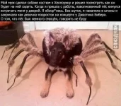 3578507.webp