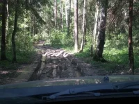 1030184.webp