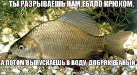 VHz8UZqjxRE.webp