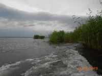 DSCN1754.webp