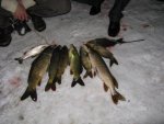 IMG_1243.jpg