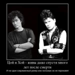 6097124.webp