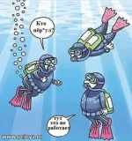 по.webp