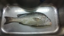 008.webp