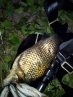 IMG_20130630_025228.webp