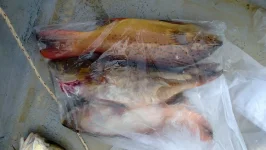 WP_20130701_006.webp
