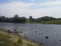 20130628_133138.webp