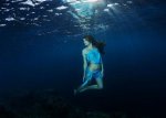 долщд.jpg