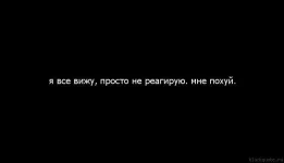 1305832879.webp