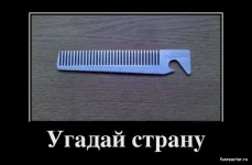 расчёска.webp
