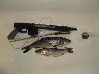 DSCF2042.webp