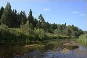 image (7).webp