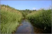 image (8).webp