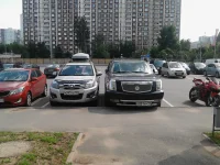 IMG_20130710_154632.webp