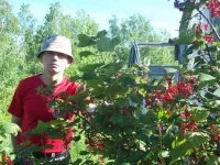 100_3168.webp