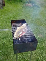18072013599.webp