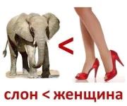 972234_519508518104977_1866913936_n.webp