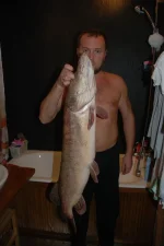 image.webp