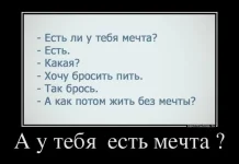 1000896_669800726381683_536149843_n.webp