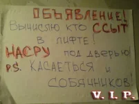 82873448.webp