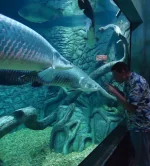 DSC01164.webp