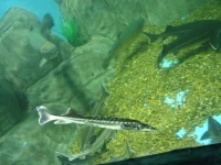 DSC01012.webp