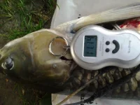 20130813_202016.webp