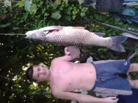 20130813_201922.webp