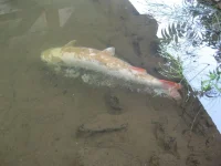IMG_0502.webp IMG_0502.webp