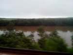 IMG_20130728_074201.jpg IMG_20130728_074201.jpg