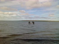 IMG_20130816_145020.webp