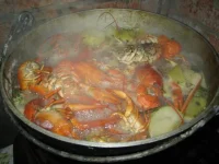 IMG_0660.webp