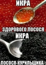 1373472249-Р.webp