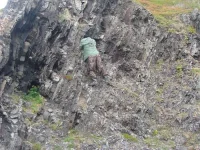 0_8f53b_dd7696b_L.webp