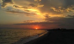 IMAG0475.webp