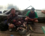 image.webp